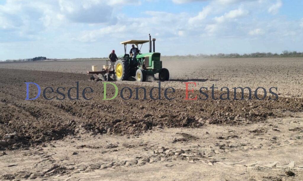 Sequía sigue causando estragos en la agricultura