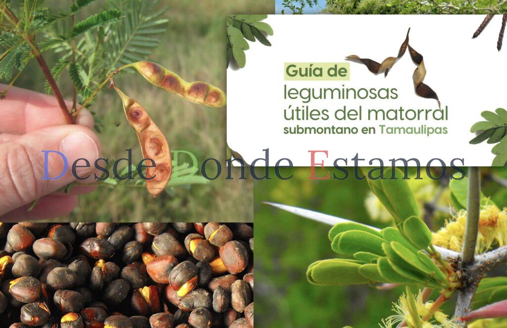 UAT invita a conocer sobre leguminosas y su aprovechamiento