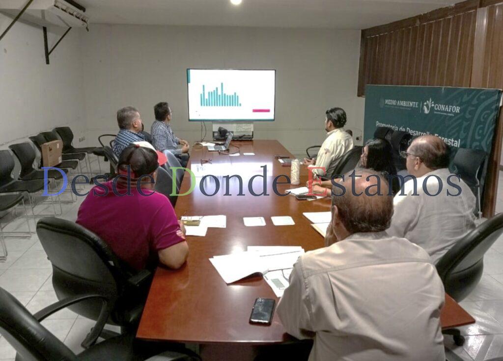 Avances del programa operativo 2025 en reunión de sanidad forestal