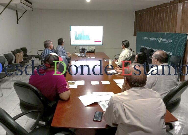 Avances del programa operativo 2025 en reunión de sanidad forestal
