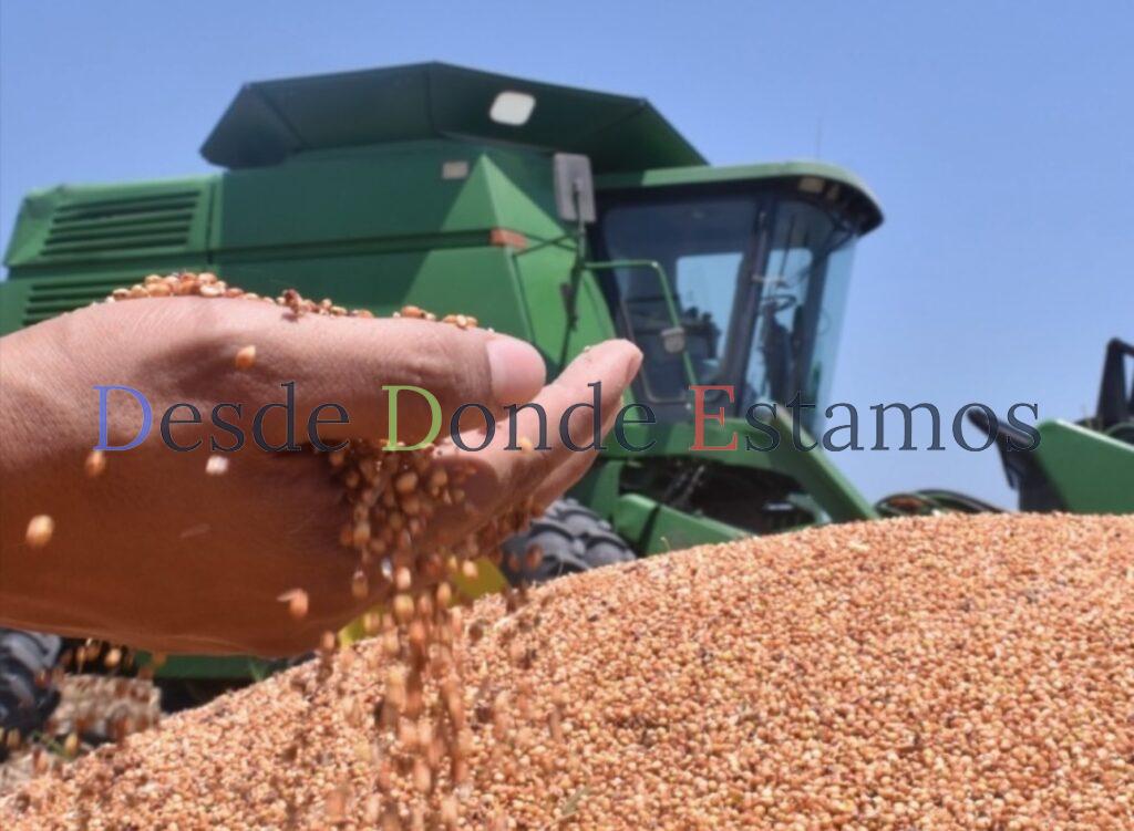 Apoyo a productores de sorgo, deber ser mínimo de 750 pesos