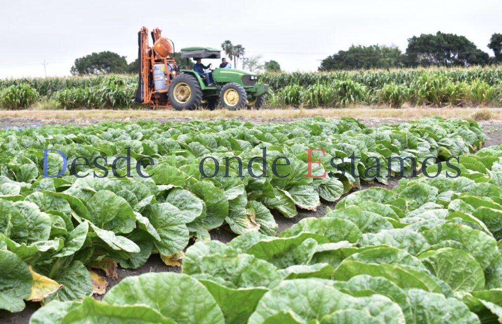 Tamaulipas, líder nacional en crecimiento de actividades primarias
