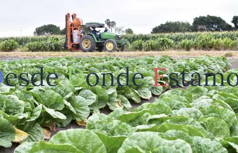 Tamaulipas, líder nacional en crecimiento de actividades primarias