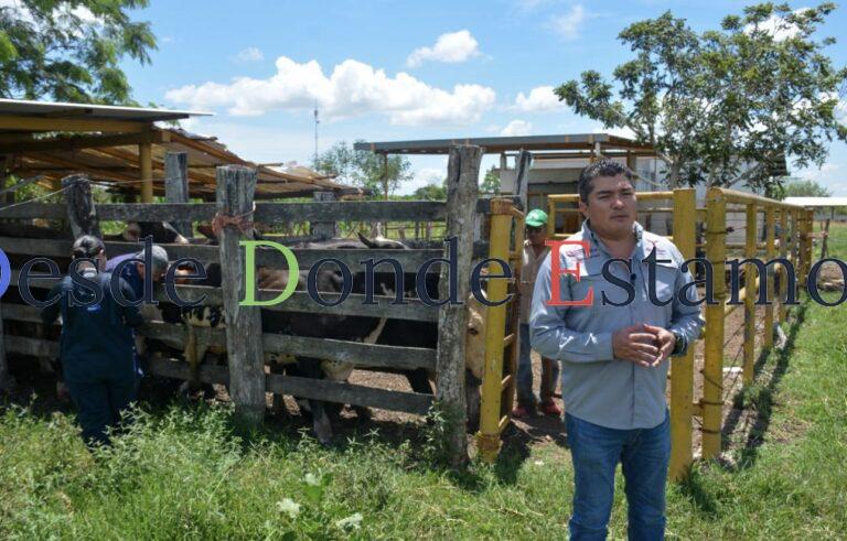 Inicia proyecto de mejoramiento genético con tecnología in vitro