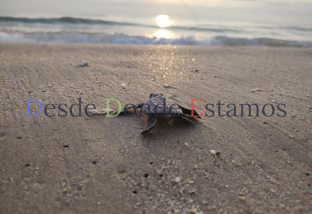 Convocan a participar en el 2º Concurso de Fotografía “Esto es Tamaulipas”