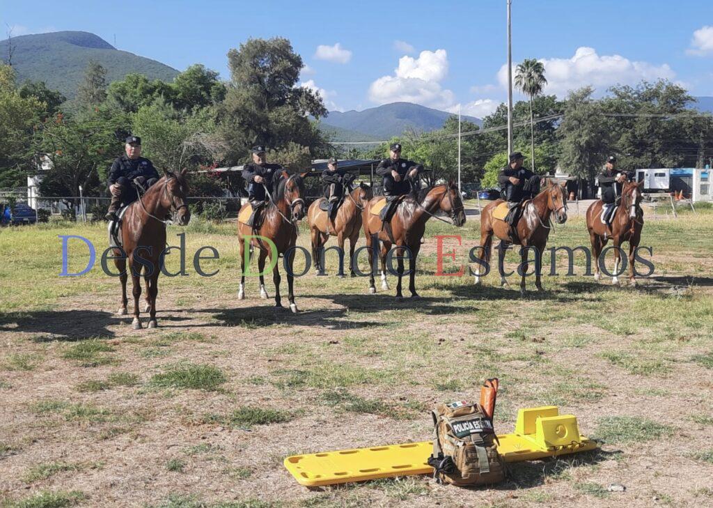 Agrupamiento Montado fortalece gimnasia ecuestre
