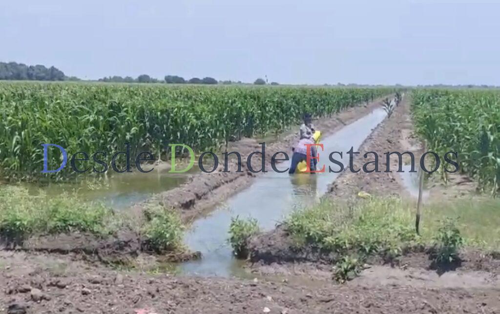Lluvias generalizadas hasta de siete pulgadas