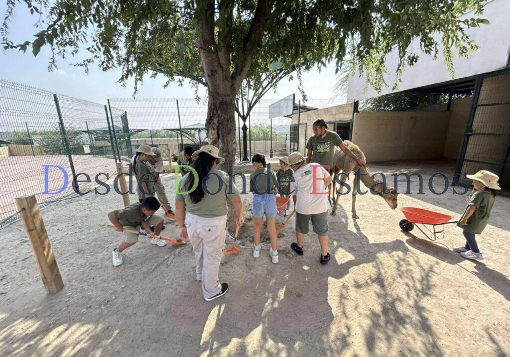 Niños de zoo kids disfrutan de un fin de semana lleno de aprendizaje