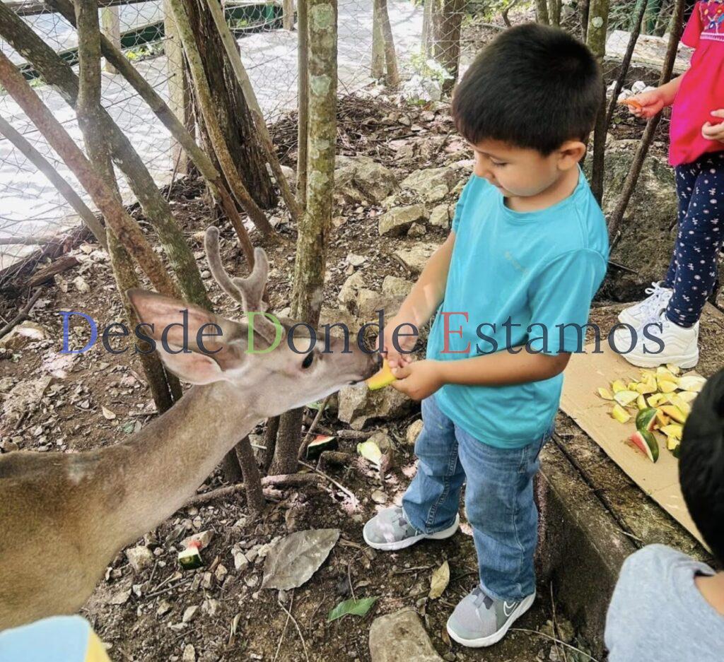 Genera Comisión de Parques guardianes de la naturaleza