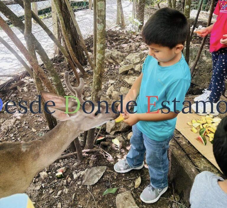 Genera Comisión de Parques guardianes de la naturaleza
