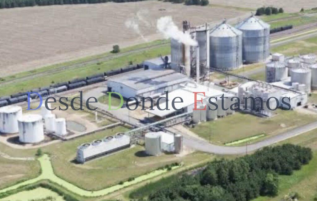 Bio refinería acaparará sorgo