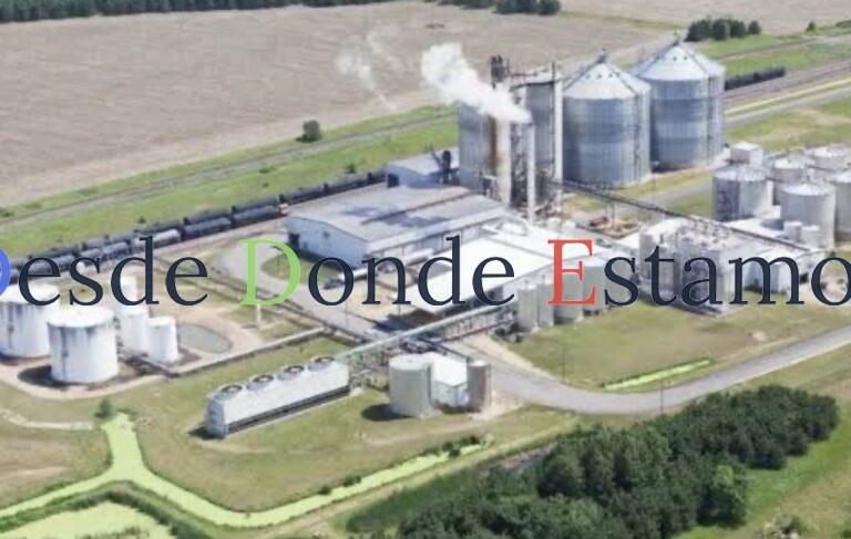 Bio refinería acaparará sorgo