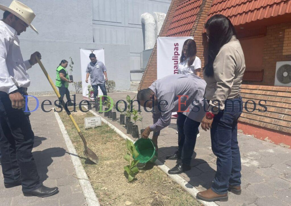 Entregan 300 plantas para reforestación de áreas verdes