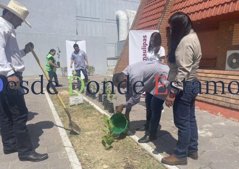 Entregan 300 plantas para reforestación de áreas verdes