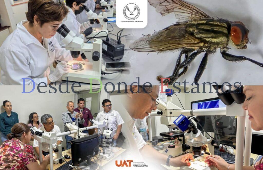 Colabora la UAT en medidas preventivas contra el gusano barrenador