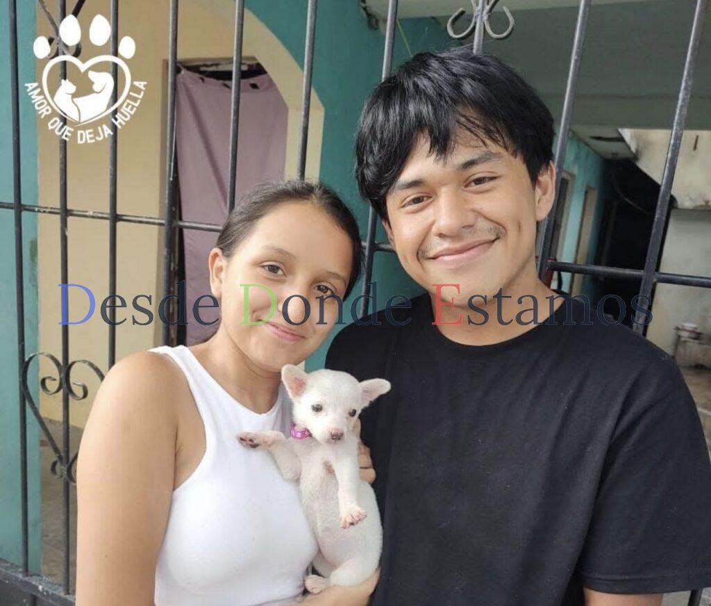 Promueve Ayuntamiento de Victoria adopción de mascotas