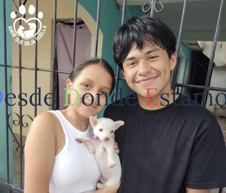 Promueve Ayuntamiento de Victoria adopción de mascotas