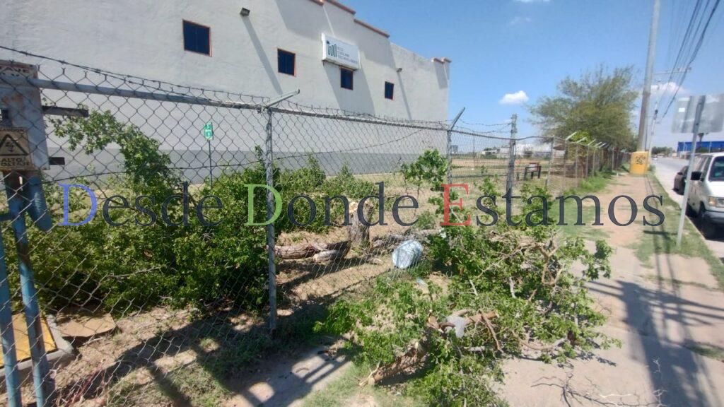 Intensifican vigilancia y programas ecológicos