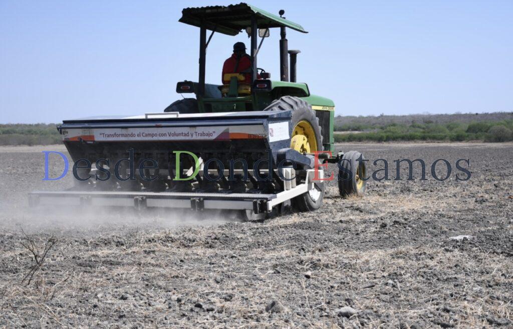 Descapitalización reducirá siembra en ciclo temprano