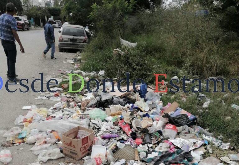 Exhortan a municipios a limpiar tiraderos de basura clandestinos