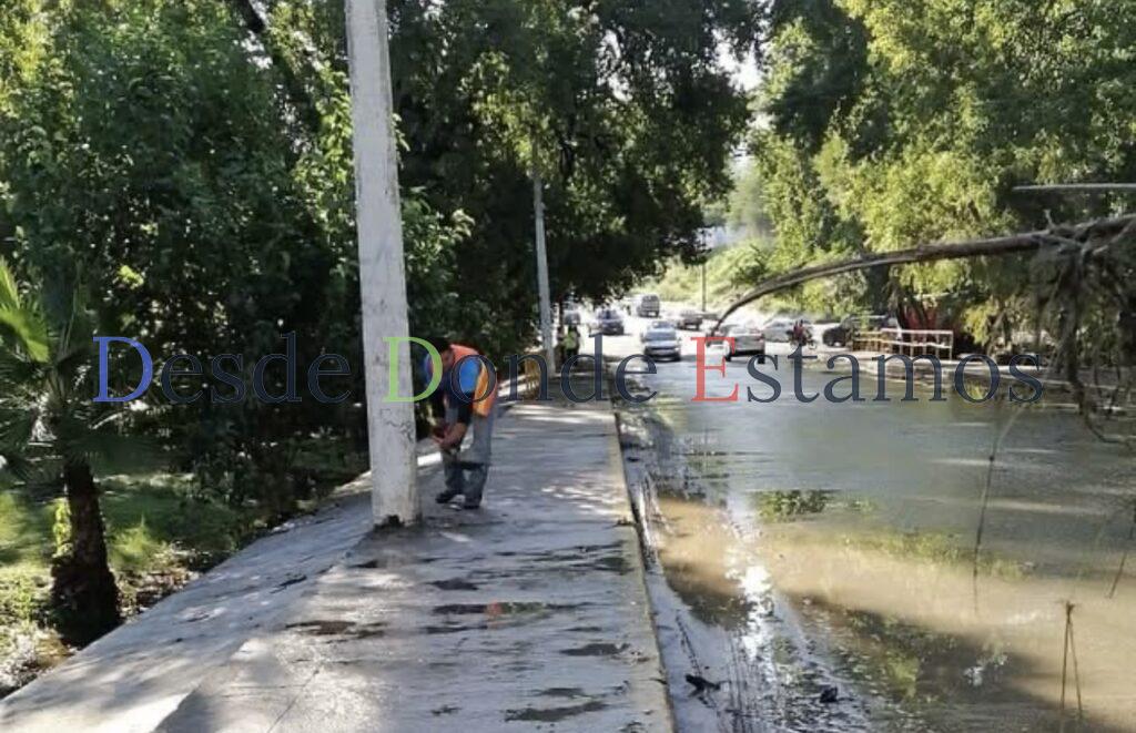 Continúan trabajos de limpieza tras lluvias en Victoria