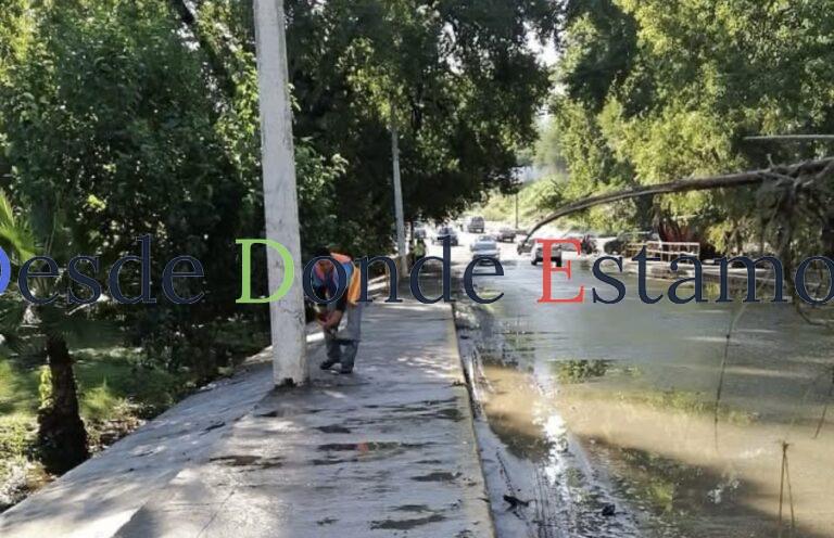 Continúan trabajos de limpieza tras lluvias en Victoria