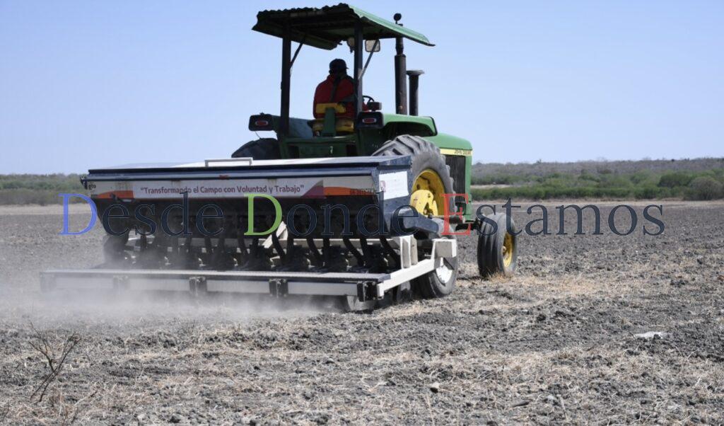 No como se maximiza, pero el campo está abandonado: SADER