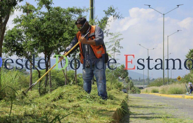 Acelera municipio arreglo de vialidades en Victoria