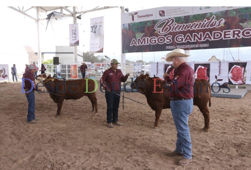 Feria Tamaulipas será sede del Segundo Concurso del Novillo Gordo