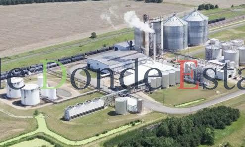 Se construirá en Altamira fábrica de etanol