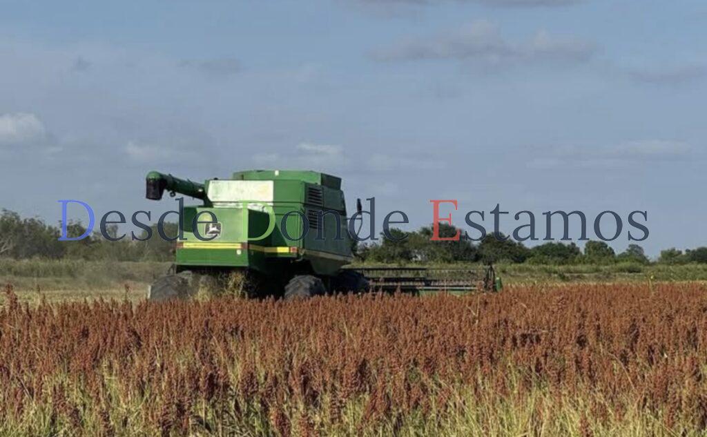 Hay créditos para los campesinos en apoyo a la producción