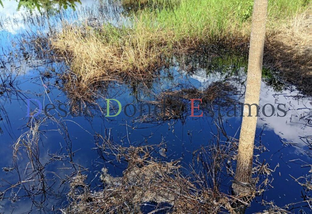 Monitorean playas de Tamaulipas por derrame de hidrocarburo