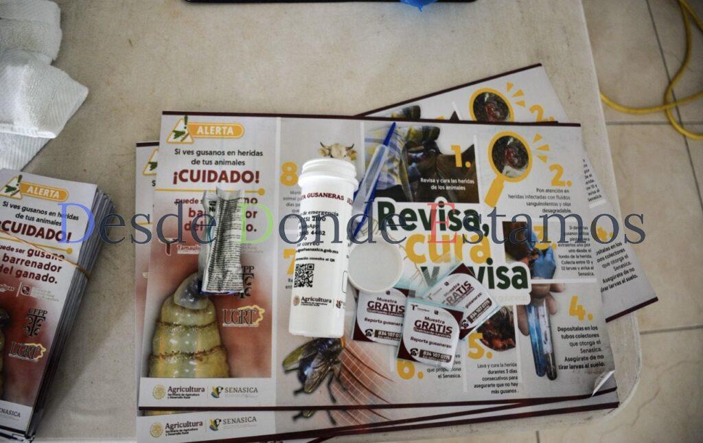 Productores se suman a la prevención del gusano barrenador