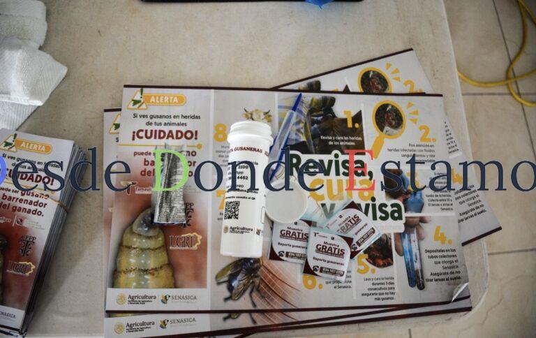 Productores se suman a la prevención del gusano barrenador