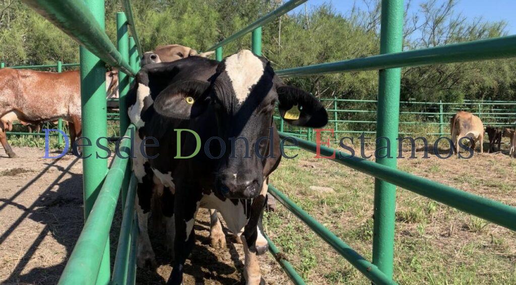 Reafirma Tamaulipas su compromiso con la innovación pecuaria