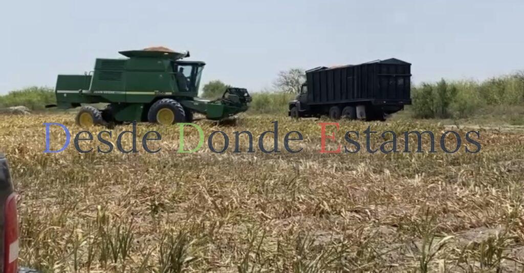 Quedarán sin riego 225 mil hectáreas; bajara producción de granos