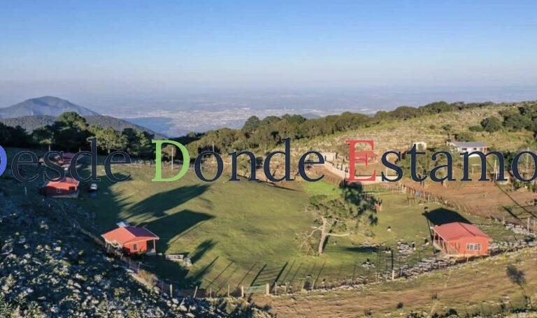 Es Pino Solo en Ciudad Victoria, un tesoro natural de Tamaulipas