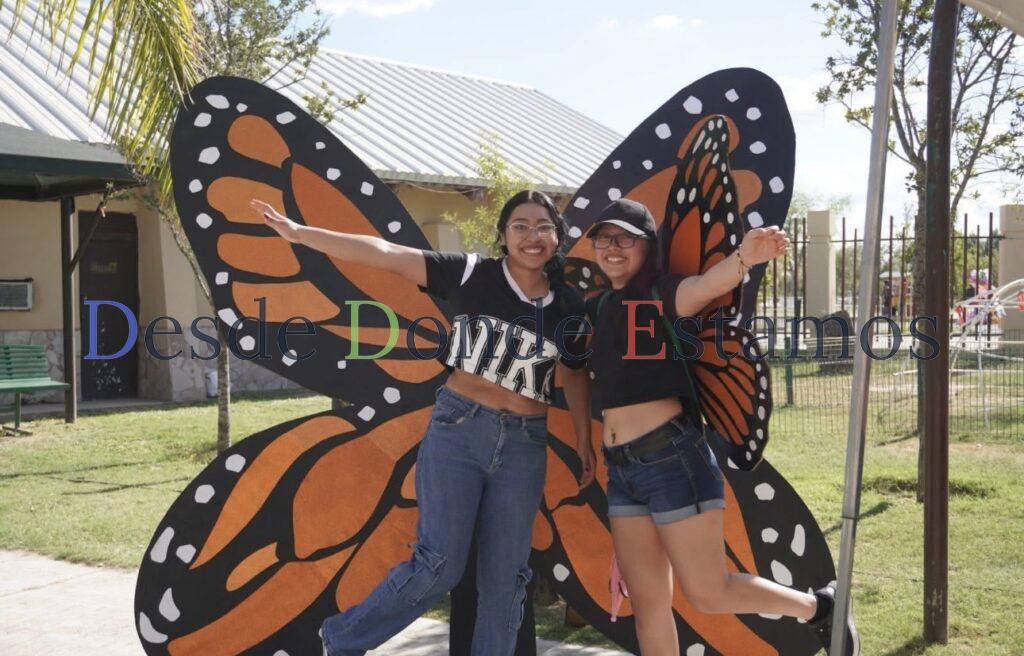 Invitan a redescubrir la ruta de las mariposas monarcas