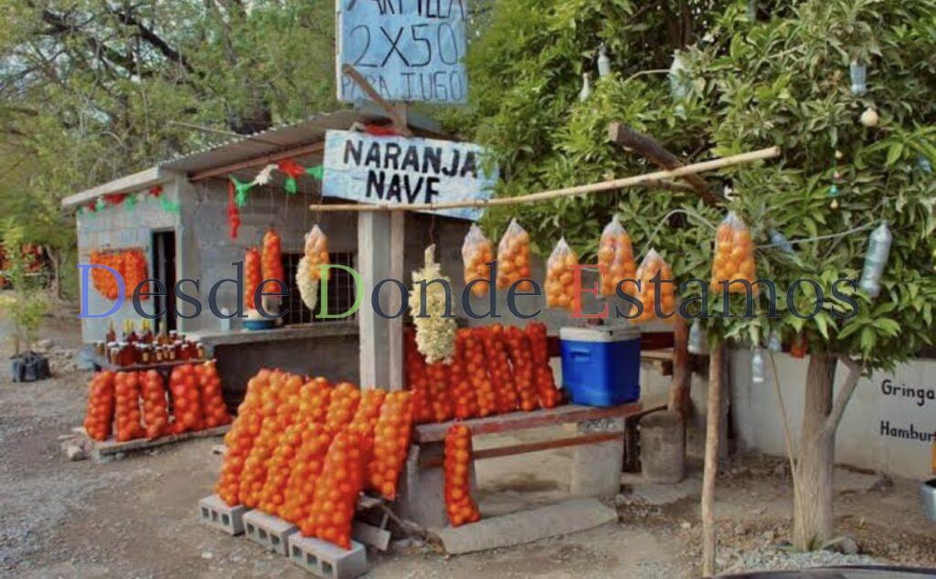 El precio de la tonelada de naranja podría aumentar
