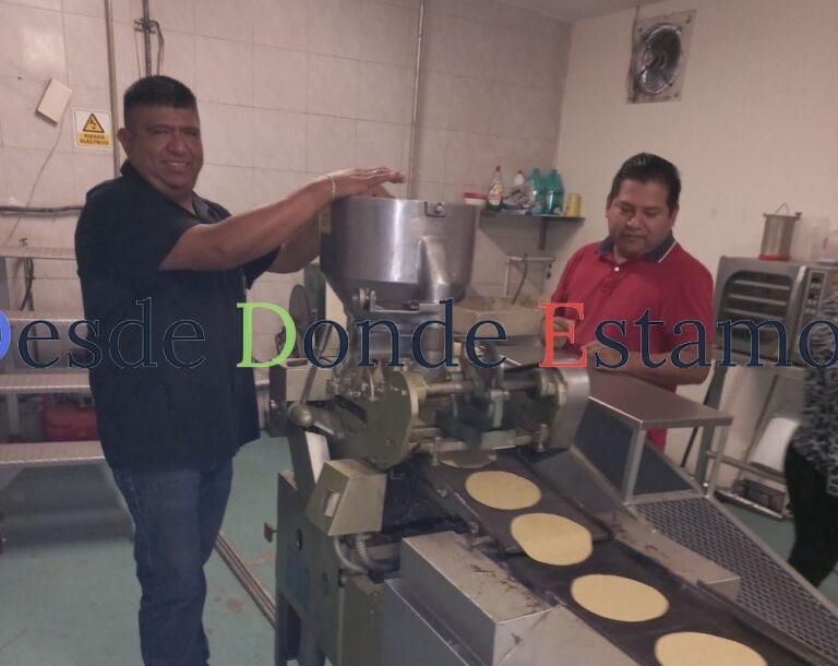 Evalúan procesos para producir harina de sorgo nixtamalizado