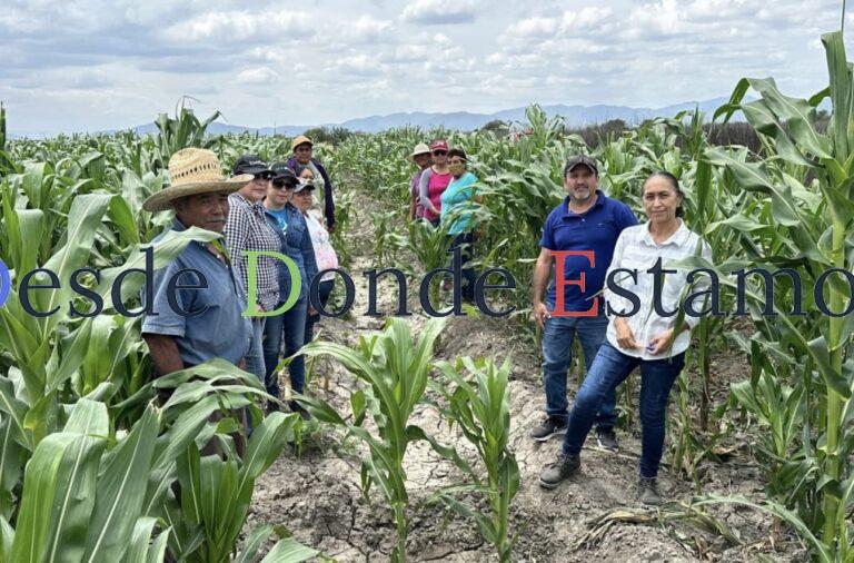Nuevas estrategias productivas fortalecen la economía rural en Tamaulipas