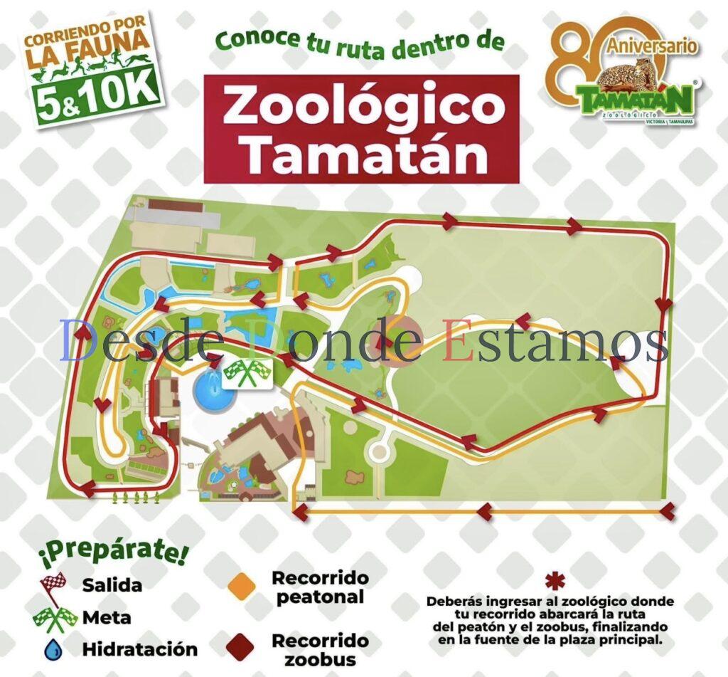 Todo listo para la competencia, “Corre por la fauna”: CPBT