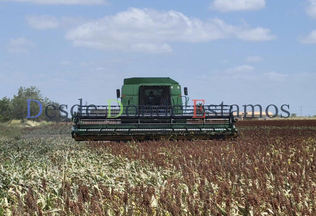 Campesinos no han recuperado costos de inversión