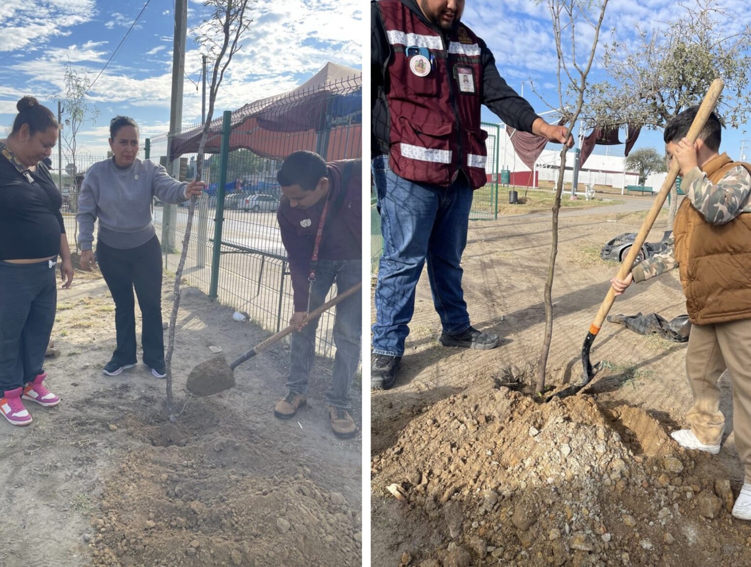 Reforestan plaza de Los Olivos 2 como parte del programa Arboleando NLD