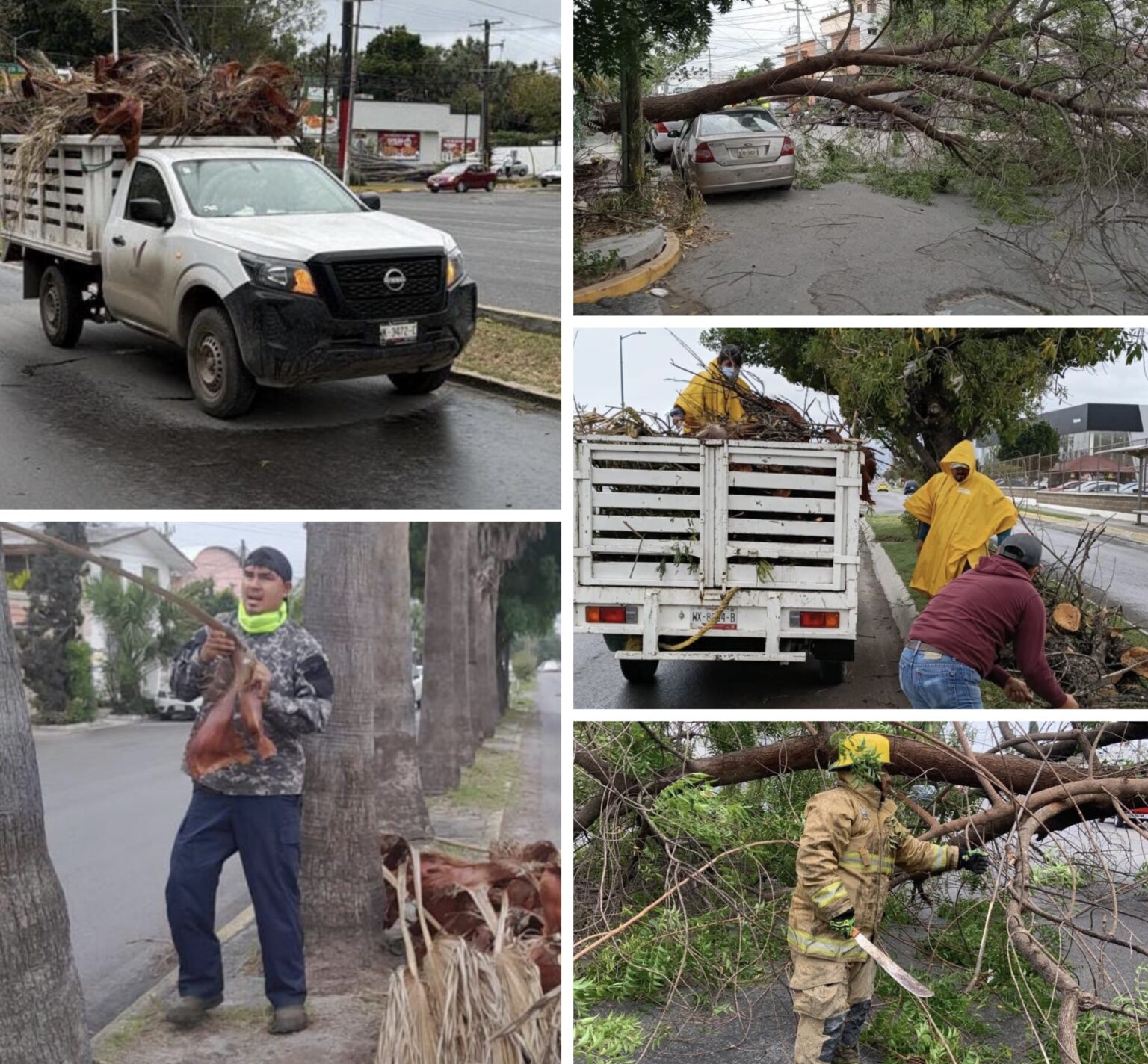 Atiende Municipio reportes ciudadanos por afectación de vendaval