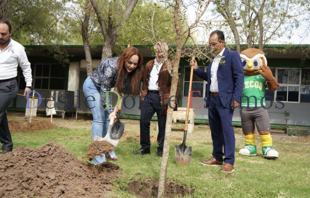 Gobierno Municipal culmina campaña de reforestación 2025 con más de 3 mil árboles plantados