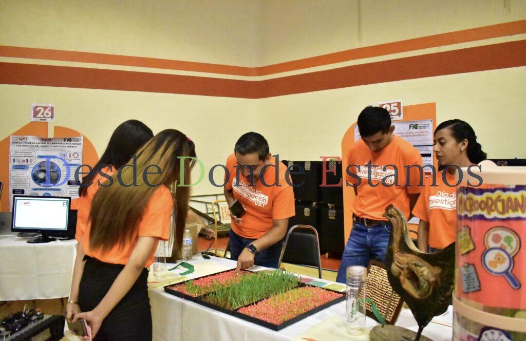 Produce la UAT forraje hidropónico del sorgo y maíz