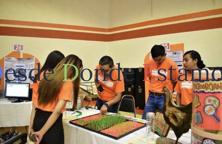 Produce la UAT forraje hidropónico del sorgo y maíz