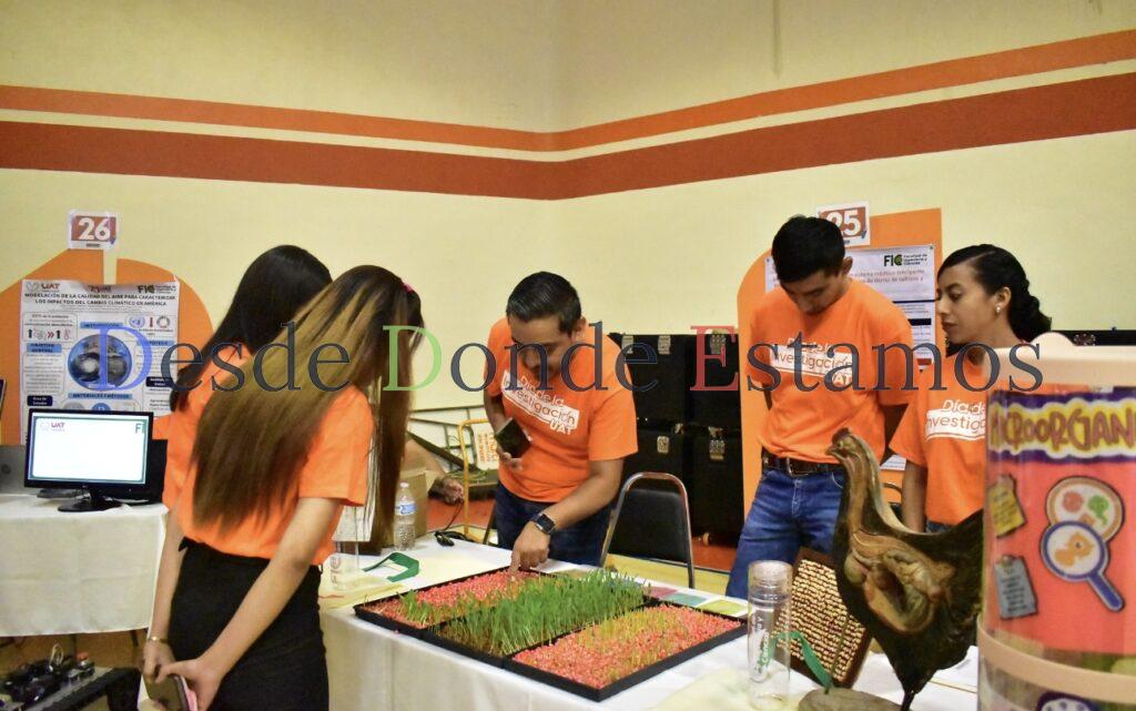 Produce la UAT forraje hidropónico del sorgo y maíz