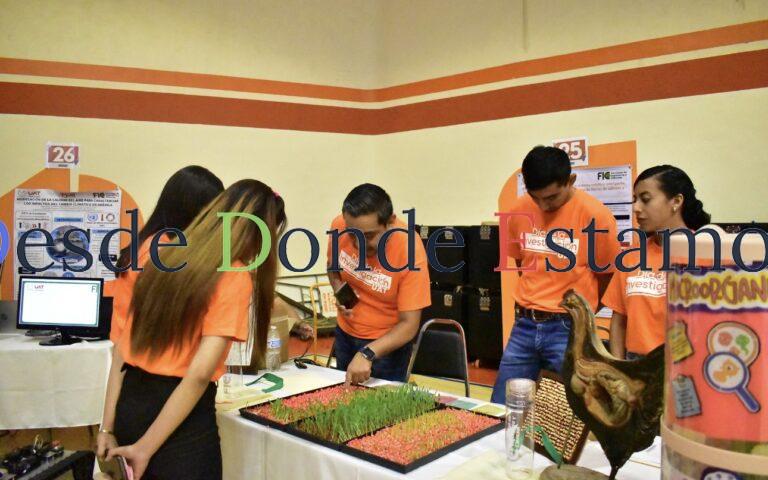 Produce la UAT forraje hidropónico del sorgo y maíz